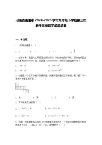 河南省南阳市2024-2025学年九年级下学期第三次联考三模数学试题试卷(含答案解析)