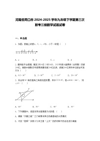 河南省周口市2024-2025学年九年级下学期第三次联考三模数学试题试卷（含答案解析）