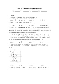 2024-2025学年上海市九年级下学期中考预测模拟数学试题