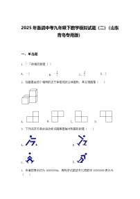 2025年备战中考九年级下数学模拟试题（二）（山东青岛专用版）（含答案解析）