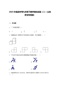 2025年备战中考九年级下数学模拟试题(二)(山东青岛专用版)(含答案解析)