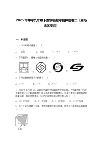 2025年中考九年级下数学模拟考前押题卷二（青岛地区专用）（含答案解析）