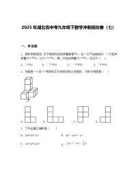 2025年湖北省中考九年级下数学冲刺模拟卷（七）（含答案解析）