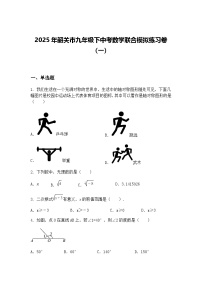 2025年韶关市九年级下中考数学联合模拟练习卷（一）（含答案解析）