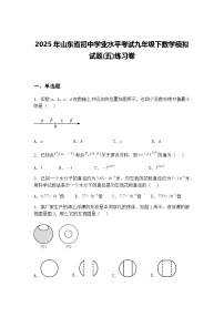 2025年山东省初中学业水平考试九年级下数学模拟试题(五)练习卷（含答案解析）