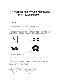 2025年山东省初中学业水平九年级下数学模拟测试卷（B）（山东省统考市专用）（含答案解析）