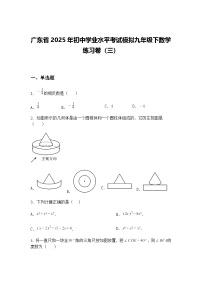 广东省2025年初中学业水平考试模拟九年级下数学练习卷（三）（含答案解析）