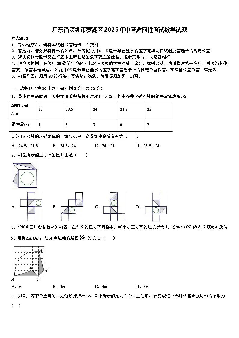 广东省深圳市罗湖区2025年中考适应性考试数学试题含解析第1页
