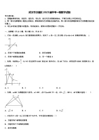 武汉市汉南区2025届中考一模数学试题含解析
