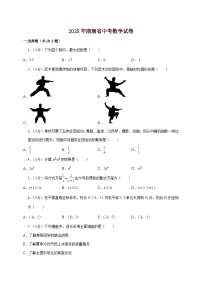 【中考数学】2025年湖南省中考适应性模拟试卷（含解析）
