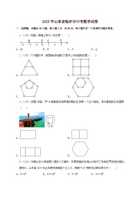 【中考数学】2025年山东省临沂市中考适应性模拟试卷（含解析）