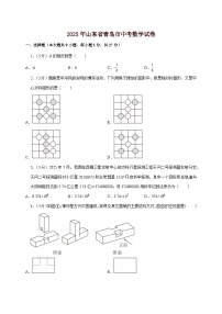 【中考数学】2025年山东省青岛市中考适应性模拟试卷（含解析）