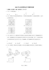 2025年山东省青岛市【中考数学】试题（原卷+解析）
