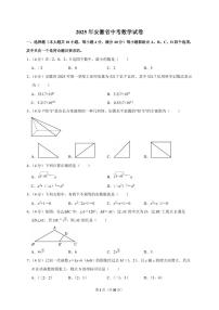 2025年安徽省【中考数学】试题（原卷+解析）