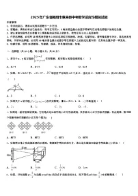 2025年广东省揭阳市惠来县中考数学适应性模拟试题含解析