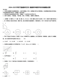2024-2025学年宁夏回族中卫市 海原县中考数学对点突破模拟试卷含解析