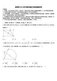 临潭县2025年中考数学最后冲刺浓缩精华卷含解析