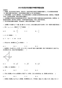2025年武汉市汉阳区中考数学模拟试题含解析