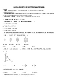 2025年山东省临沂市临沭县中考数学适应性模拟试题含解析