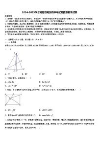 2024-2025学年揭阳市揭东县中考试题猜想数学试卷含解析
