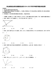凉山彝族自治州木里藏族自治县2024-2025学年中考数学模拟预测试卷含解析