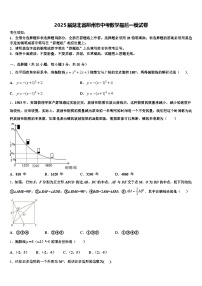 2025届湖北省荆州市中考数学最后一模试卷含解析