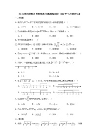 湘教版（2024）八年级上册（2024）3.1 二次根式的概念及性质当堂检测题