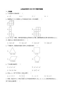 山东省济南市2025年中考数学真题附真题答案
