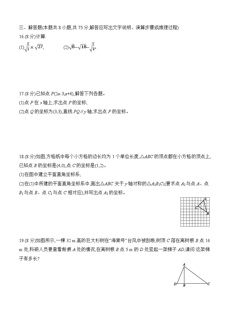北师大版(2024)八年级上册数学期中单元提升测试卷(含答案)第3页