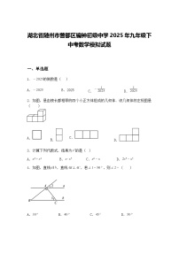 湖北省随州市曾都区编钟初级中学2025年九年级下中考数学模拟试题（含答案解析）
