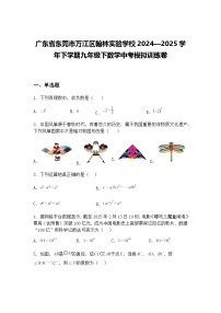 广东省东莞市万江区翰林实验学校2024—2025学年下学期九年级下数学中考模拟训练卷（含答案解析）
