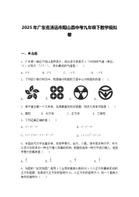 2025年广东省清远市阳山县中考九年级下数学模拟卷（含答案解析）