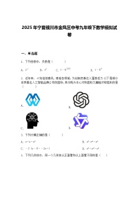 2025年宁夏银川市金凤区中考九年级下数学模拟试卷（含答案解析）