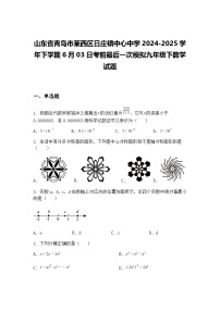 山东省青岛市莱西区日庄镇中心中学2024-2025学年下学期6月03日考前最后一次模拟九年级下数学试题（含答案解析）