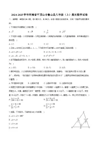 2024-2025学年河南省平顶山市鲁山县八年级（上）期末数学试卷-自定义类型