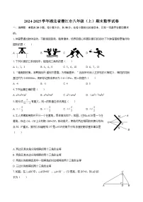 2024-2025学年湖北省潜江市八年级(上)期末数学试卷-自定义类型