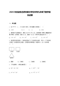 2025年安徽省合肥市部分学校中考九年级下数学模拟试卷（含答案解析）