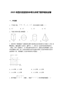 2025年四川省宜宾市中考九年级下数学模拟试卷（含答案解析）