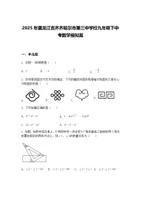 2025年黑龙江省齐齐哈尔市第三中学校九年级下中考数学模拟题（含答案解析）