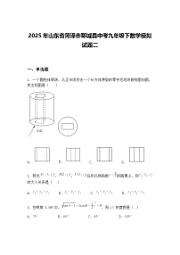 2025年山东省菏泽市郓城县中考九年级下数学模拟试题二（含答案解析）