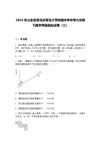 2025年山东省青岛市青岛大学附属中学中考九年级下数学押题模拟试卷（三）（含答案解析）