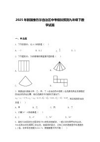2025年新疆维吾尔自治区中考模拟预测九年级下数学试题（含答案解析）
