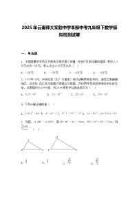 2025年云南师大实验中学本部中考九年级下数学模拟检测试卷（含答案解析）