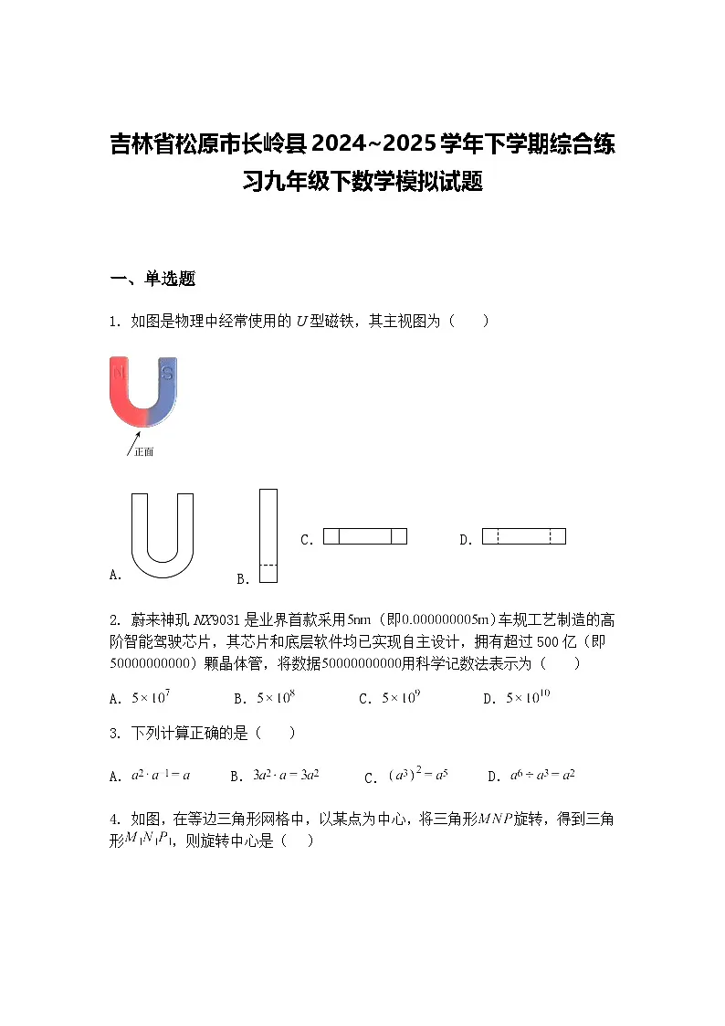 吉林省松原市长岭县2024~2025学年下学期综合练习九年级下数学模拟试题(含答案解析)第1页