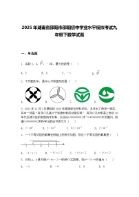 2025年湖南省邵阳市邵阳初中学业水平模拟考试九年级下数学试题（含答案解析）