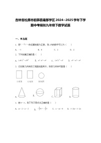 吉林省松原市前郭县南部学区2024~2025学年下学期中考模拟九年级下数学试题（含答案解析）