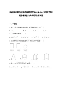 吉林省松原市前郭县南部学区2024~2025学年下学期中考模拟九年级下数学试题(含答案解析)