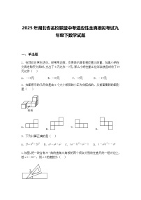 2025年湖北省名校联盟中考适应性全真模拟考试九年级下数学试题（含答案解析）