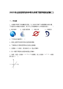 2025年山东省青岛市中考九年级下数学模拟试卷(二)(含答案解析)