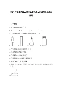 2025年重庆巴蜀中学校中考三模九年级下数学模拟试题(含答案解析)